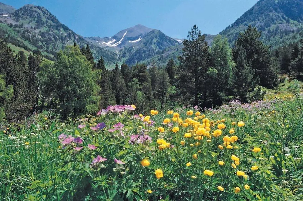 Hotel Xalet Verdú Arinsal